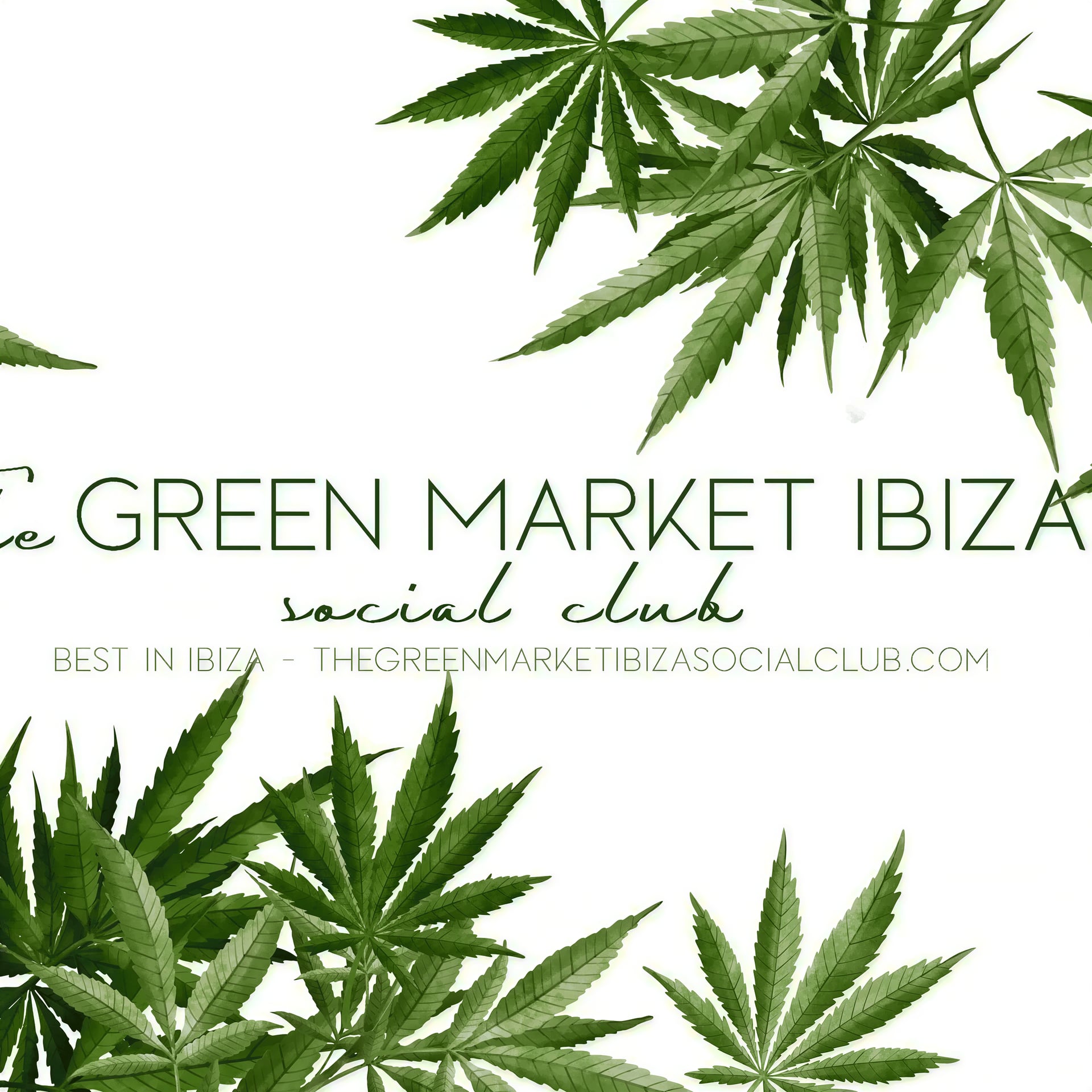 Cannabis Social Club The Green Market logo